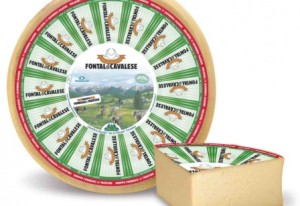 formaggi del trentino-fontal